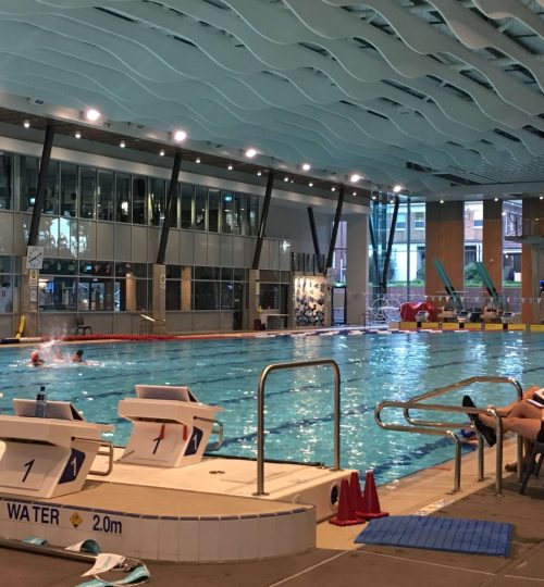 20190213_082619232_iOS