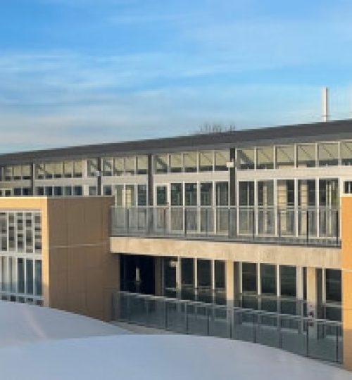 20210705_213847937_iOS